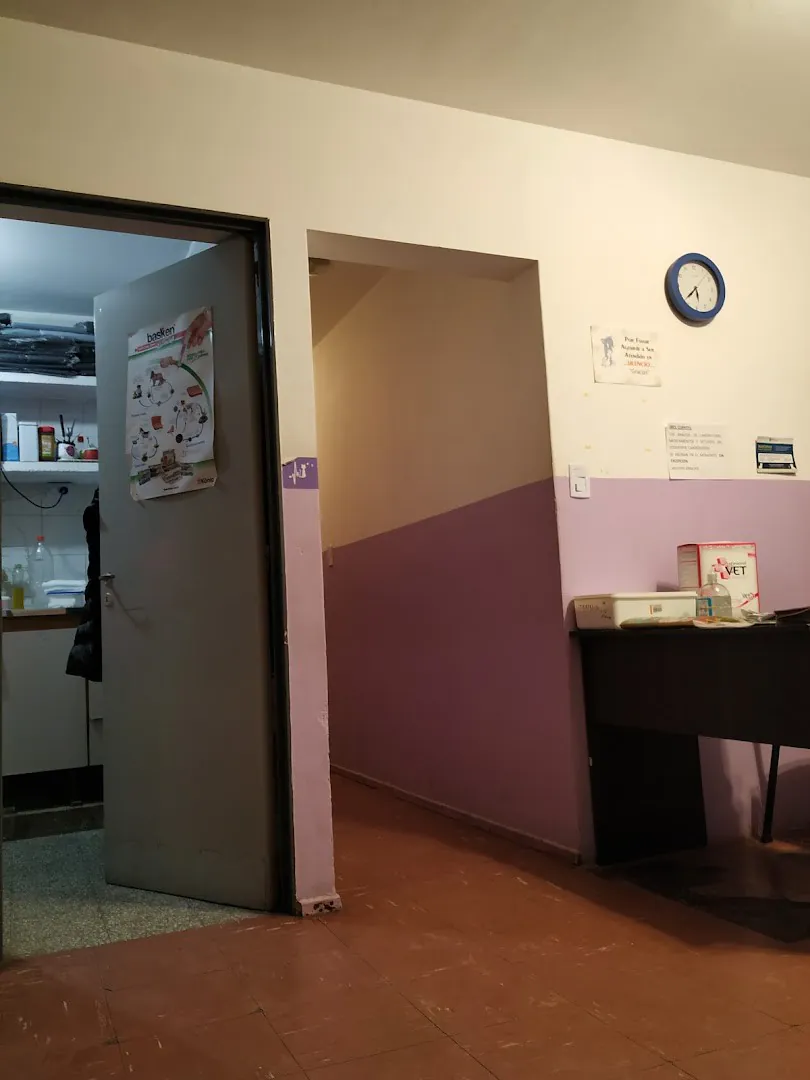 El pasillo hacia el consultorio, con la pared mitad lila