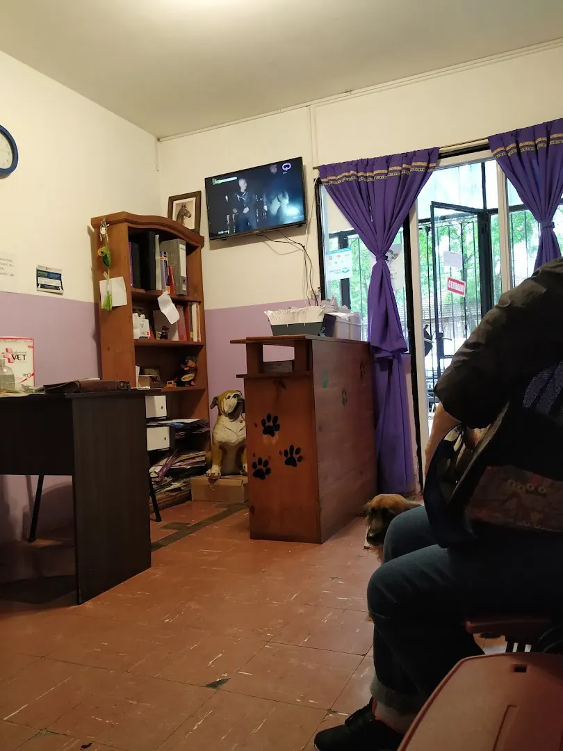 La sala de espera, con cortinas violetas y el mostrador de madera